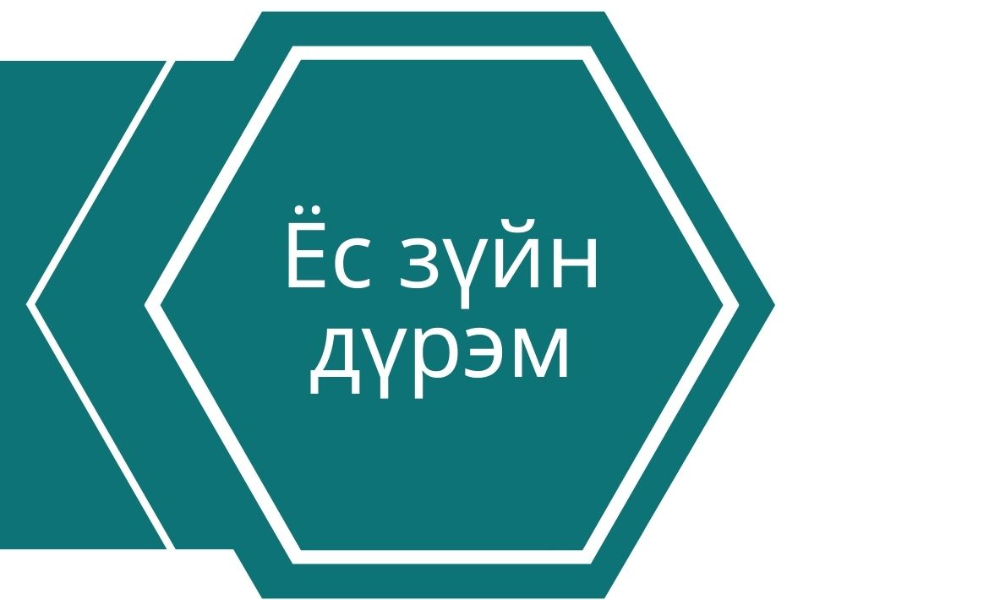 БАЙГУУЛЛАГЫН ЁС ЗҮЙН ДҮРЭМ